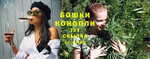 бошки Верея