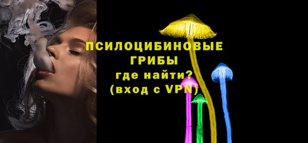 бошки Верея
