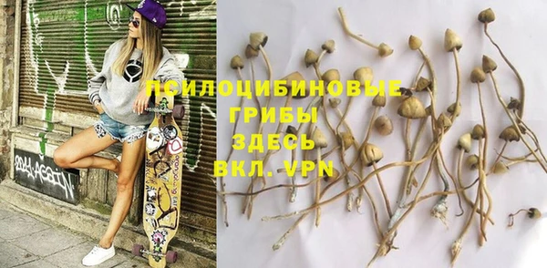 бошки Верея