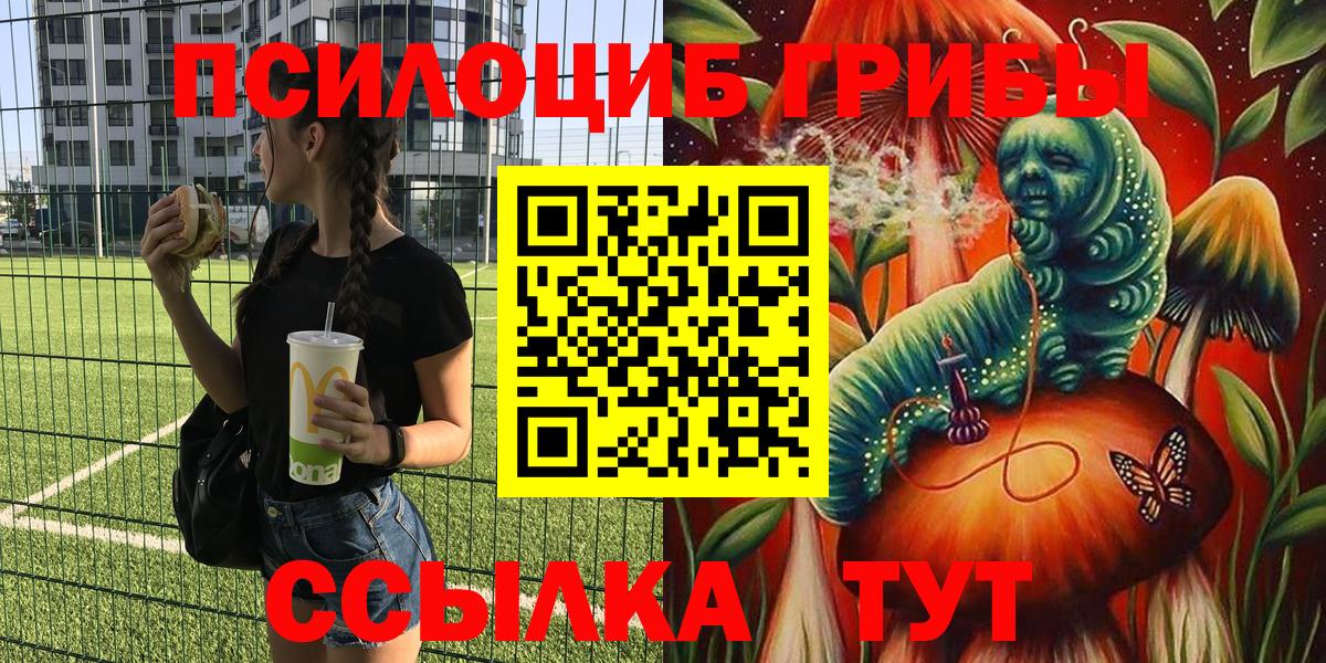 Псилоцибиновые грибы прущие грибы  Нижнеудинск 