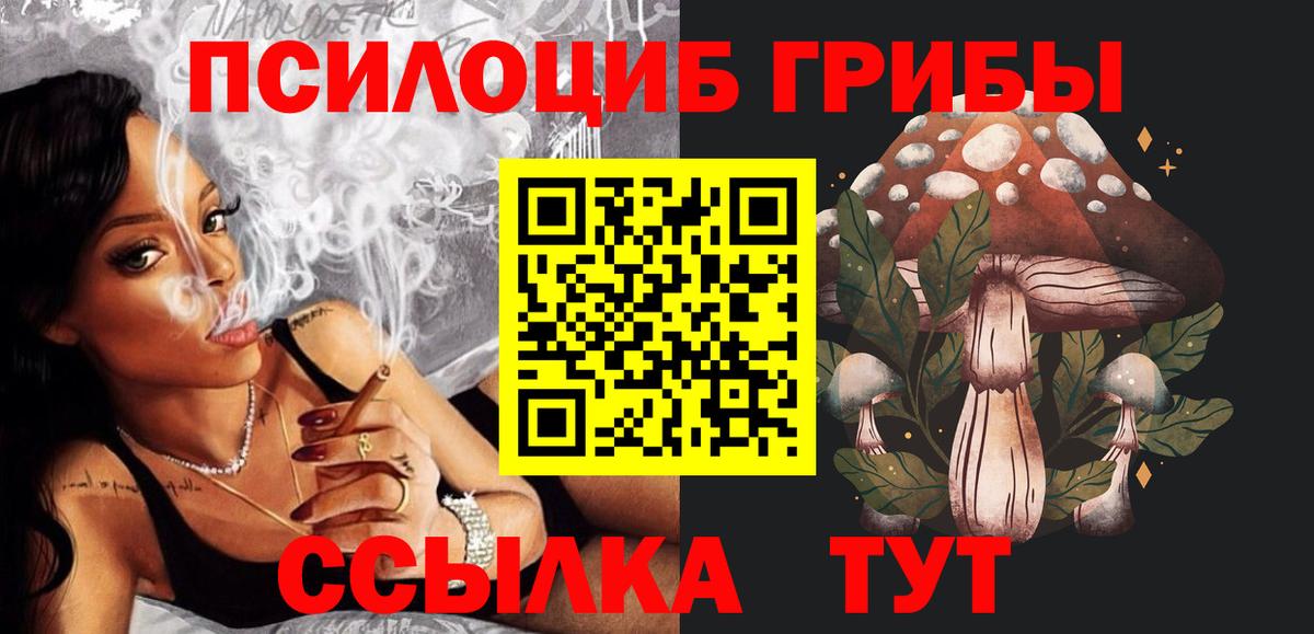 Нижнеудинск  Псилоцибиновые грибы Psilocybe  Псилоцибиновые грибы прущие грибы  Вход с VPN 